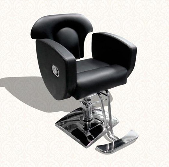 Silla Ski Line