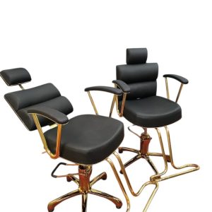 Silla Dinas